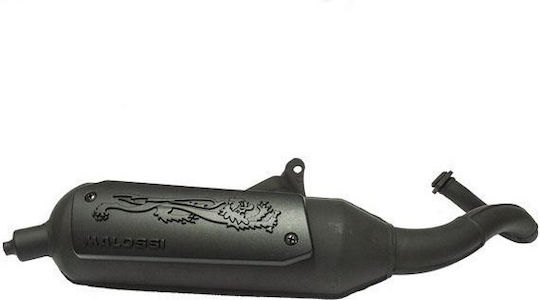 Malossi Wild Lion Eșapament motocicletă pentru Piaggio Taifun / NRG