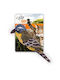 All For Paws Instincts Catnip Bird Παιχνίδι Γάτας Ραβδί με Catnip 15x5x5cm