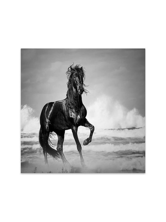 Megapap Black Horse Πίνακας σε Καμβά 60x60cm