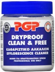 PGP Professional Special Cleaner Powder 350gr