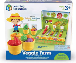 Learning Resources Veggie Farm Sorting Set Educational Toy Knowledge for 3+ Years Old