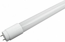GloboStar Fluorine Type 150cm LED Bulb G13 T8 Natural White 2608lm