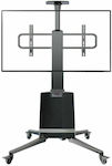 NB AV TW85 TW85 TV Mount Floor up to 85" and 68kg