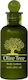 Amari Körperlotion Hotel Amenities Olive Tree 40ml in Package 250Stück