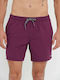 Funky Buddha Herren Badebekleidung Shorts Berry