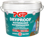 PGP Dryproof Waterbased Waterproofer Insulating Sealing 15kg White