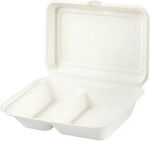 Tessera Set de 25 Cutii Containere alimentare din trestie de zahăr 23x15cm