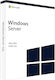 Microsoft Windows Server 2022 RDS User CALs Add-on Multi-Language σε Ηλεκτρονική άδεια