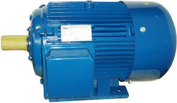 Americo Y180M-2 Three-Phase Electric Motor 30hp 2800rpm Americo Y180M-2 Three-Phase Electric Motor 30hp 2800rpm