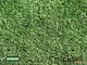 2x5m und Höhe des Flors 12mm in Grün Farbe 1Stück