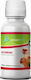 Avianvet Vitamino Πολυβιταμίνες για Ωδικά Πτηνά 100ml