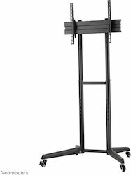 Neomounts FL50-540BL1 Boden TV-Halterung Bis Zu 70 Zoll