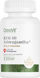 OstroVit KSM 66 Ashwagandha 120 ταμπλέτες