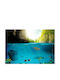 Autocolantă Fototapet de Perete 245x175cm Under The Waterline