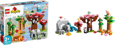 LEGO® DUPLO® Town: Wild Animals Of Asia (10974)