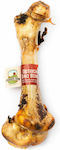 Ostrich Dino Bone Bone for Dogs Ostrich 500gr