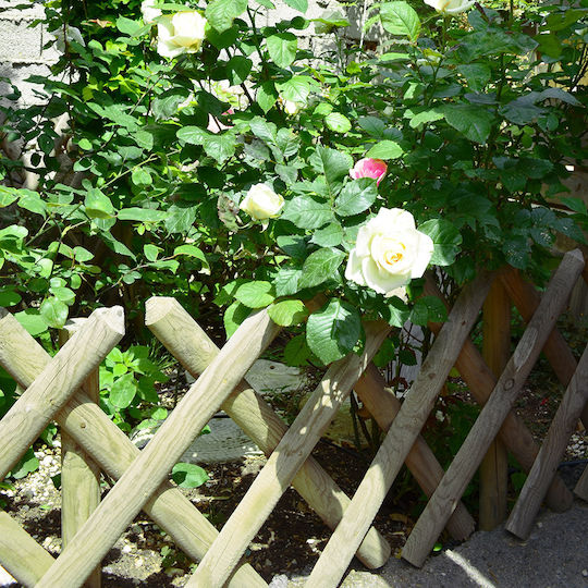Klappbares Spalier Gartengehölz mit Rhombus Rasterdesign in Beige Farbe 60x100x100cm