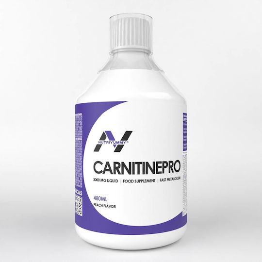 l carnitine romania N-Acetyl L-Carnitine, 550 mg, 60 capsule, Zenyth : Farmacia Tei online