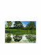 Fototapet de Perete 100x70cm The Magic Pond Tesatura