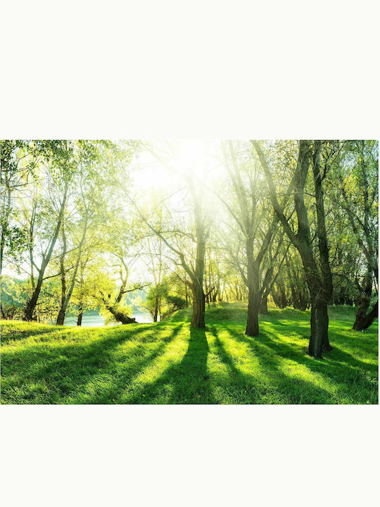 Self-adhesive Wall Mural Sunny May Day 147x105cm