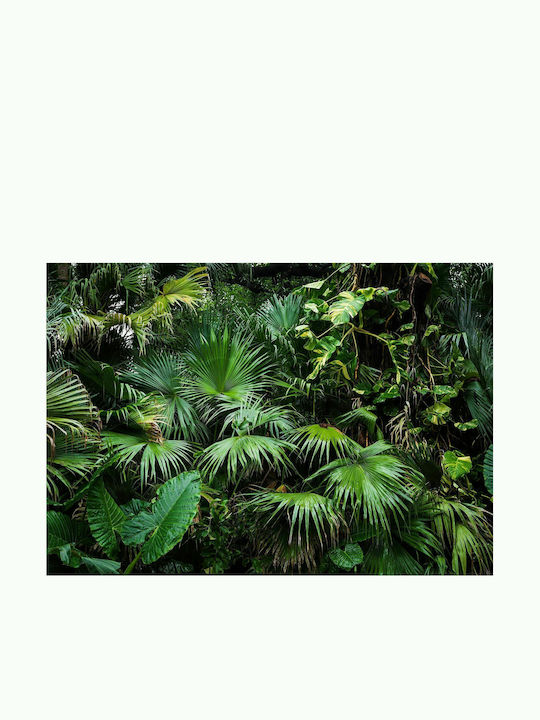 Autocolantă Fototapet de Perete 245x175cm Sunny Jungle