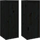 Cabinets Wall Black 2pcs 30x30x80cm