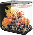 Oase BiOrb Flow 15 LED Nano Aquarium mit einer Kapazität von 15Es mit Beleuchtung und 20.8x30x31.5cm. Schwarz