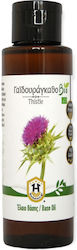 Herbstore Γαϊδουράγκαθο ΒΙΟ Biologisches Jojobaöl 100ml