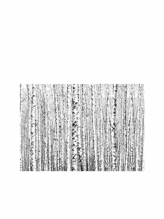 Fototapet de Perete 350x245cm Birch forest Tesatura