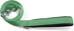 Glee Dog Leash/Lead Strap Single Weave Lead Com...