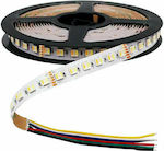 V-TAC LED Streifen Versorgung 24V RGBW Länge 5m und 60 LED pro Meter SMD5050