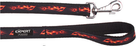 Tatrapet Pet Expert Dog Strap Leash/Lead in Red 1.2m x 20cm
