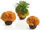 Oase biOrb Coral Ball Aquarium Ornament Artificial Plant