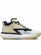 Jordan Zion 1 High Basketball Shoes Fossil / Midnight Navy / White / Metallic Gold