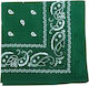 Afoi Giannakopouloi Bandana Hair Green