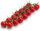 Σπόροι Τομάτας Cherry 10τμχ