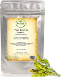 Nostos Pure Mountain Tea Greek Mountain Olympus 40gr Nostos Pure Mountain Tea Greek Mountain Olympus 40gr