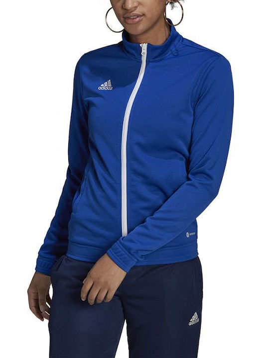 adidas adidas