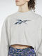 Modern Safari Gekürzt Damen Sweatshirt Gray
