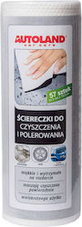 Autoland Pads Polishing / Cleaning Cleaning and Polishing Wipes 1kg