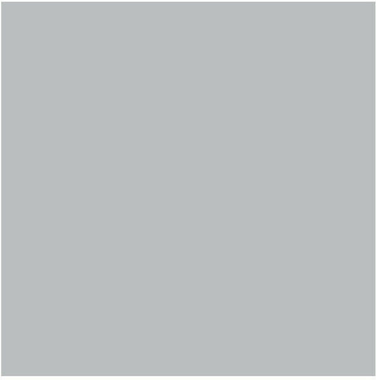 Exas Paper Χαρτόνι Μεταλλιζέ Rainbow Διπλής Όψης 50x70εκ. Ασημί