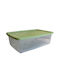Viomes 630 Kunststoff Aufbewahrungsbox mit Rollen und Deckel Pastel Green 59x40x19cm 1Stück