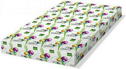 Rey Pro Design Printing Paper A3 160g/m² 250 Sheets