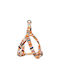 Glee Dog Harness Type Α Multicolor Medium 20mm x 35-60cm 89337