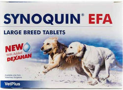 Vet Plus Synoquin Tasty Πολυβιταμίνες Σκύλου σε Δισκία 30 tabs