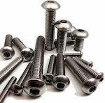 Allen Screw Inox DIN 7380 with Diameter M6 and Length 30mm