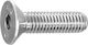 Allen Screw Inox DIN 7991 with Diameter M6 and Length 50mm