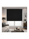 Roller Blinds Black W80xH180cm 23780