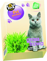Lolo Pets Χόρτο Γάτας 100gr Γρασίδι 100gr