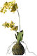 Supergreens Τεχνητό Φυτό σε Γλάστρα Ορχιδέα Phalaenopsis Real Touch Πράσινο 40cm